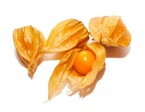 Physalis Frucht - sieht doch lecker aus!